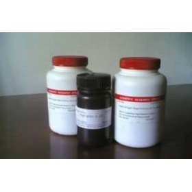 丙烯葡聚糖凝膠S-200 HR 上海研生實業(yè)的優(yōu)質(zhì)產(chǎn)品選擇